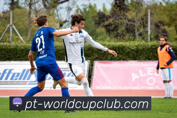 世界杯WorldCup平台平台生态图