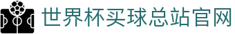 世界杯买球网站-线上买球官方平台-WorldCup